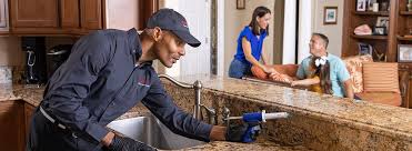 Real Estate Pest Inspections in Warrior, AL